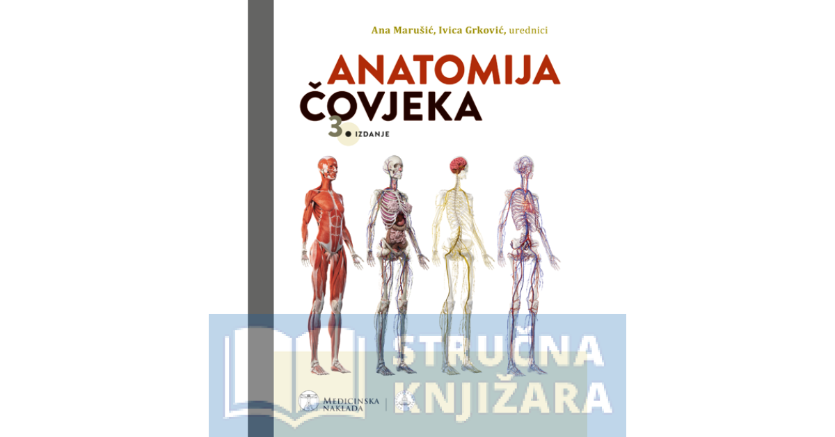 ANATOMIJA ČOVJEKA - 3. izdanje - Ana Marušić, Ivica Grković