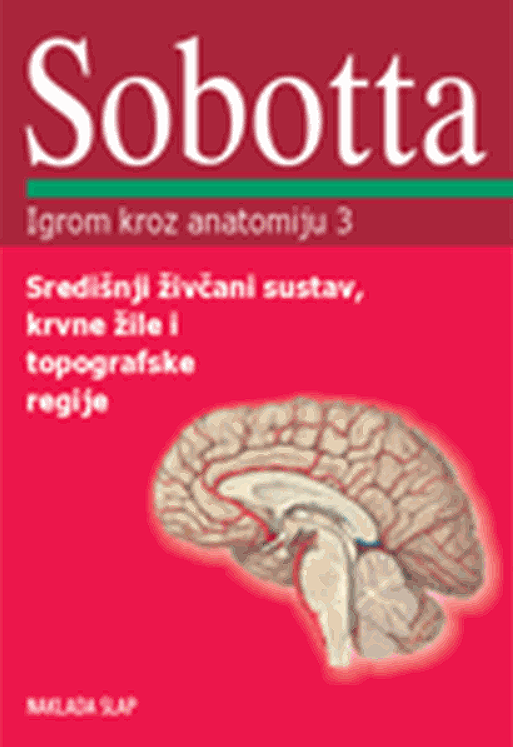 Igrom kroz anatomiju 3 - Središnji živčani sustav, krvne žile i topografske regije - Johannes Sobotta